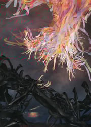 Intercept _2024_FINAL_5x7 crop